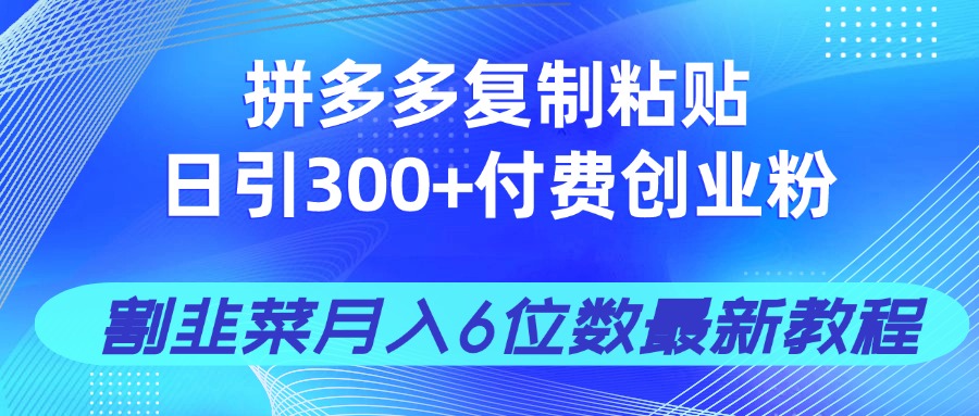 拼多多复制粘贴日引300+付费创业粉，割韭菜月入6位数最新教程！-Ai创业网