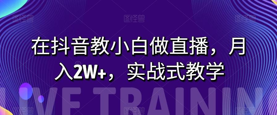 在抖音教小白做直播，月入2W+，实战式教学【揭秘】-Ai创业网