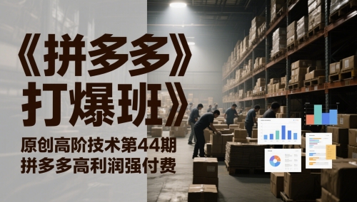 《拼多多打爆班》原创高阶技术第44期，拼多多高利润强付费-Ai创业网