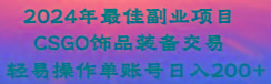 2024年最佳副业项目 CSGO饰品装备交易 轻易操作单账号日入200+-Ai创业网