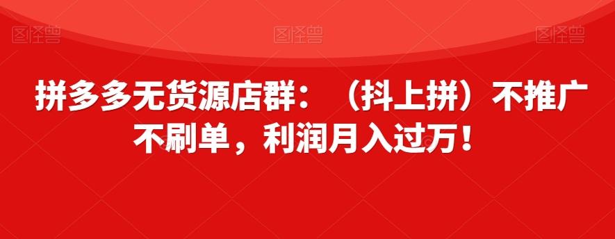 拼多多无货源店群：（抖上拼）不推广不刷单，利润月入过万！【揭秘】-Ai创业网