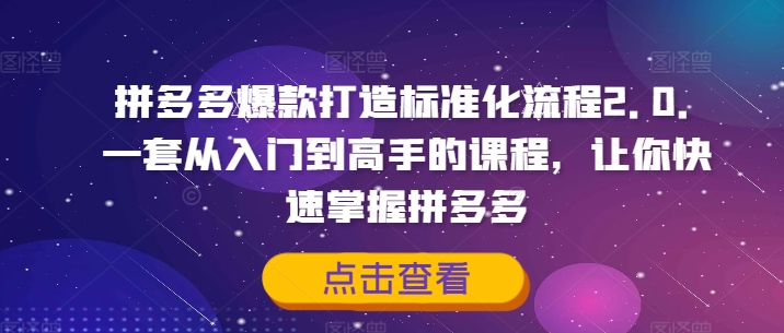 拼多多爆款打造标准化流程2.0，一套从入门到高手的课程，让你快速掌握拼多多-Ai创业网