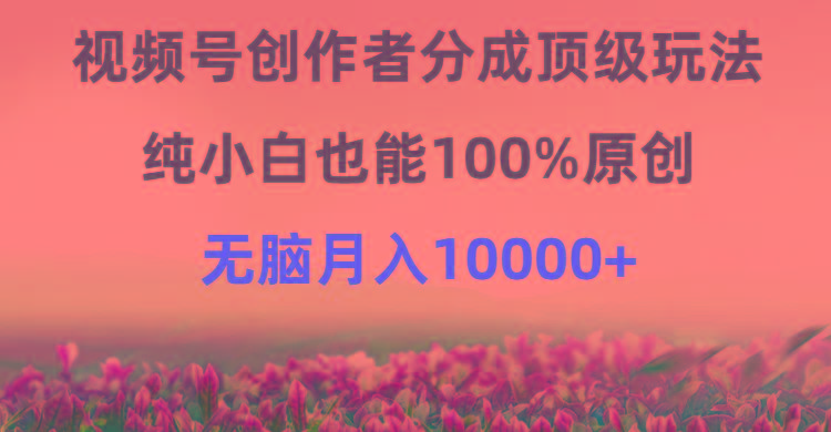 (9608期)视频号创作者分成顶级玩法，纯小白也能100%原创，无脑月入10000+-Ai创业网
