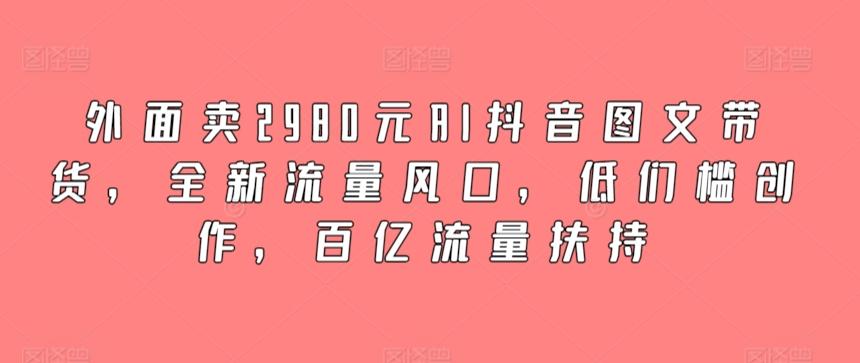 外面卖2980元AI抖音图文带货，全新流量风口，低们槛创作，百亿流量扶持-Ai创业网