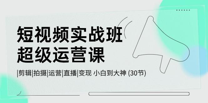 短视频实战班超级运营课 |剪辑|拍摄|运营|直播|变现 小白到大神 (30节)-Ai创业网