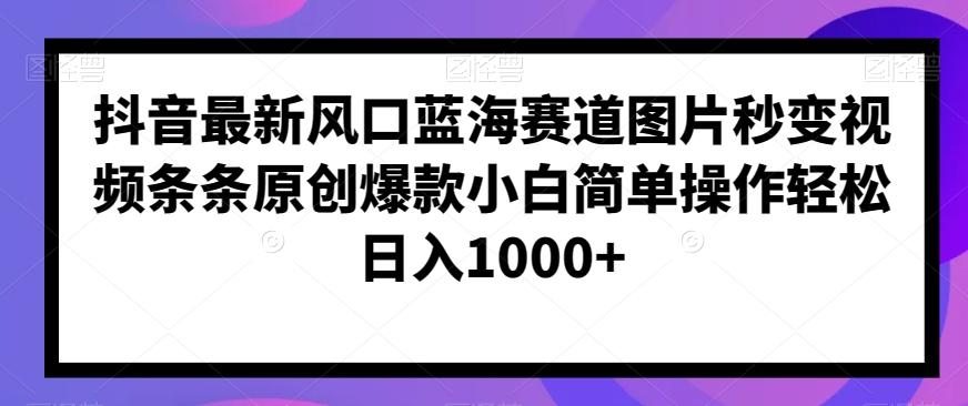 抖音最新风口蓝海赛道图片秒变视频条条原创爆款小白简单操作轻松日入1000+-Ai创业网