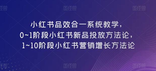 小红书品效合一系统教学，​0~1阶段小红书新品投放方法论，​1~10阶段小红书营销增长方法论-Ai创业网