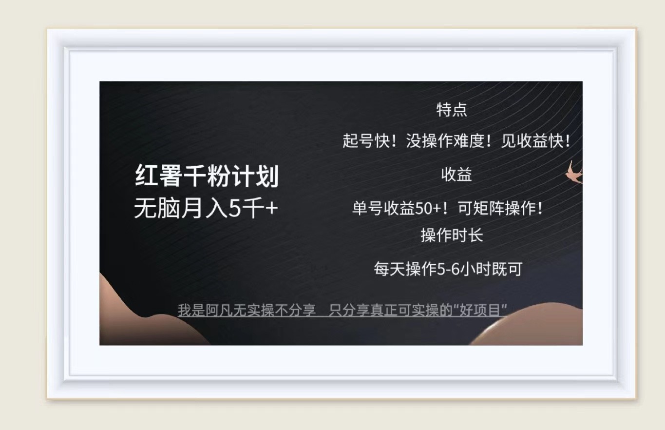 红薯千粉计划无脑月入5千+！既做既赚！-Ai创业网