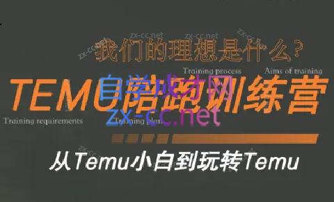 苗苗·拼多多跨境（temu）课程-Ai创业网