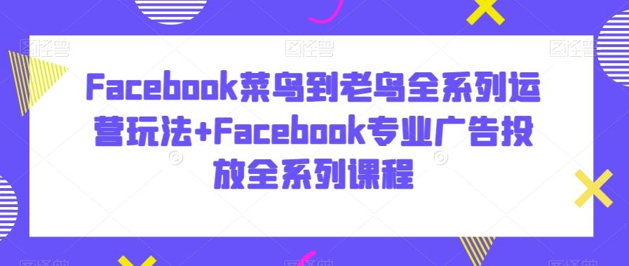 Facebook菜鸟到老鸟全系列运营玩法+Facebook专业广告投放全系列课程-Ai创业网