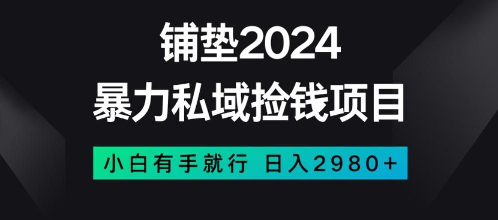 暴力私域捡钱项目，小白无脑操作，日入2980【揭秘】-Ai创业网