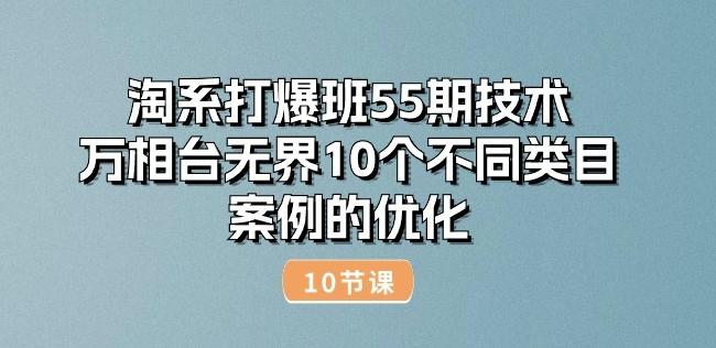 淘系打爆班55期技术：万相台无界10个不同类目案例的优化(10节)-Ai创业网
