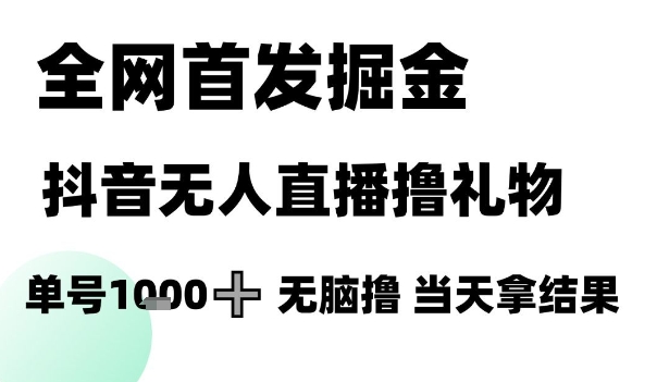 全网首发掘金抖音无人直播撸礼物，单号1k +无脑撸，当天拿结果【揭秘】-Ai创业网