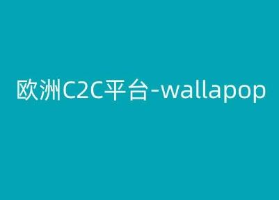 欧洲C2C平台-wallapop-kim跨境电商教程-Ai创业网