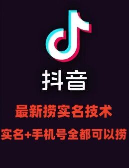 最新技术抖音捞实名+捞手机号技术，抖音直播封禁释放十名/手机号，直接替换出来!-Ai创业网