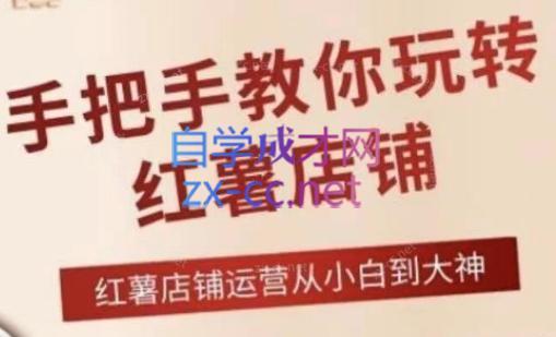 海燕老师·2024手把手教你玩转红薯店铺-Ai创业网