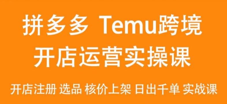 2024Temu最新玩法，Temu跨境开店运营实操课，开店注册/选品/核价上架/日出千单实战课-Ai创业网