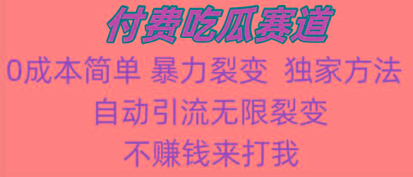吃瓜付费赛道，暴力无限裂变，0成本，实测日入700+！！！-Ai创业网