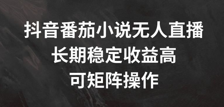 抖音番茄小说无人直播，长期稳定收益高，可矩阵操作【揭秘】-Ai创业网