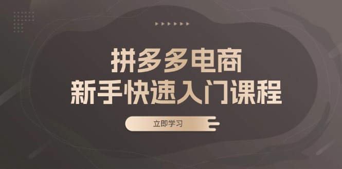 拼多多电商新手快速入门课程：涵盖基础、实战与选款，助力小白轻松上手-Ai创业网