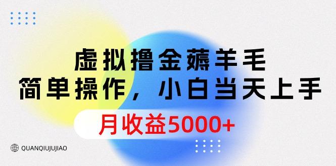 (9864期)虚拟撸金薅羊毛，简单操作，小白当天上手，月收益5000+-Ai创业网