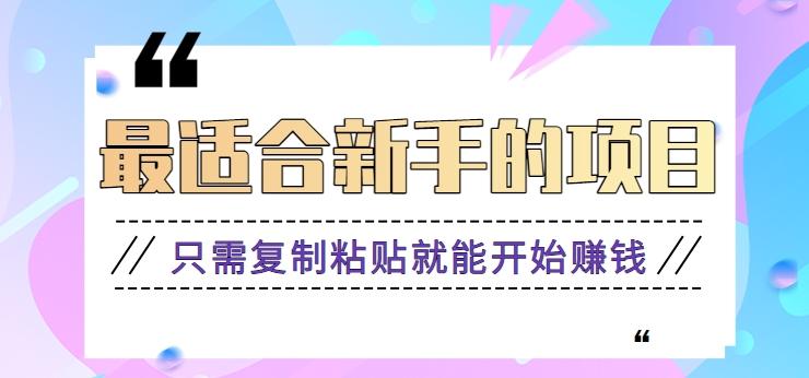 2024最适合新手操作的项目，新手小白只需复制粘贴就能开始赚钱【视频教程+软件】-Ai创业网