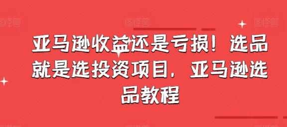 亚马逊收益还是亏损！选品就是选投资项目，亚马逊选品教程-Ai创业网