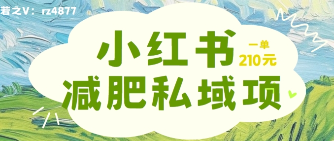 小红书减肥粉，私域变现项目，一单就达210元，小白也能轻松上手【揭秘】-Ai创业网