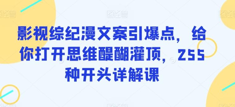 影视综纪漫文案引爆点，给你打开思维醍醐灌顶，255种开头详解课-Ai创业网