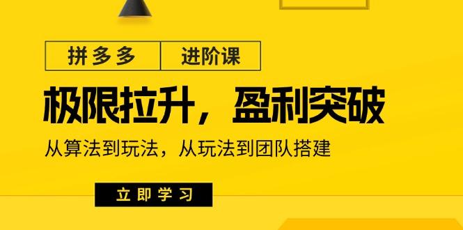 拼多多·进阶课：极限拉升/盈利突破：从算法到玩法 从玩法到团队搭建-18节-Ai创业网