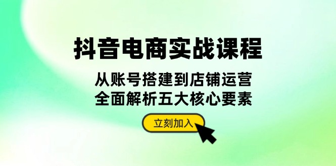 抖音 电商实战课程：从账号搭建到店铺运营，全面解析五大核心要素-Ai创业网