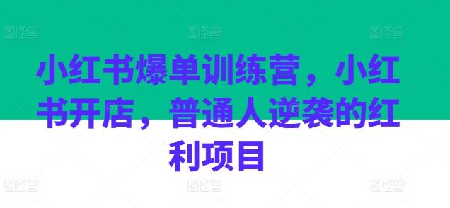 小红书爆单训练营，小红书开店，普通人逆袭的红利项目-Ai创业网
