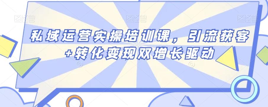 私域运营实操培训课，引流获客+转化变现双增长驱动-Ai创业网
