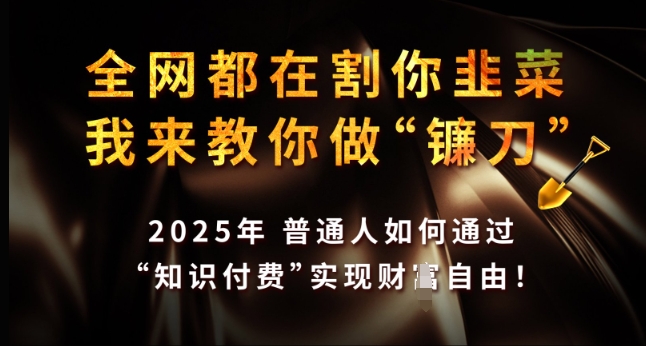 全网都在割你韭菜，我来教你做镰刀，2025年普通人如何通过 知识付费 实现财F自由【揭秘】-Ai创业网