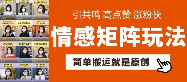 简单搬运，情感矩阵玩法，涨粉速度快，可带货，可起号【揭秘】-Ai创业网