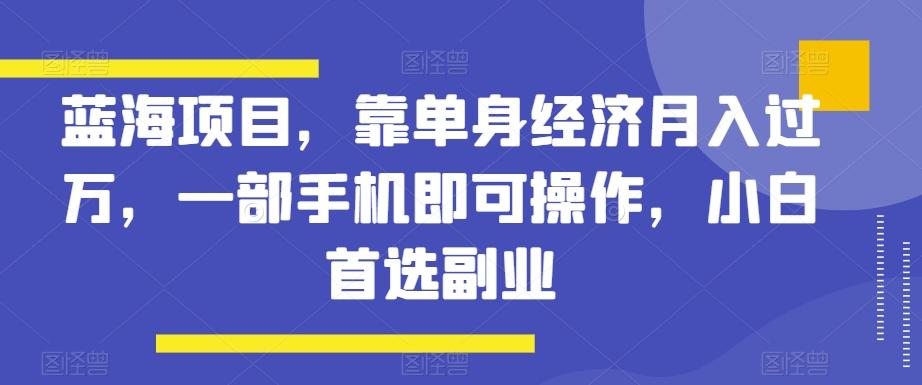 蓝海项目，靠单身经济月入过万，一部手机即可操作，小白首选副业【揭秘】-Ai创业网