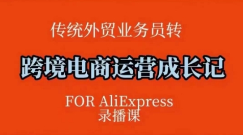 跨境电商速卖通运营课，​运营方法论+后台实操，逻辑清晰-Ai创业网