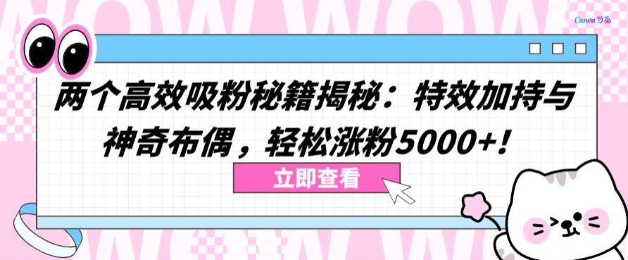两个高效吸粉秘籍揭秘：特效加持与神奇布偶，轻松涨粉5000+【揭秘】-Ai创业网