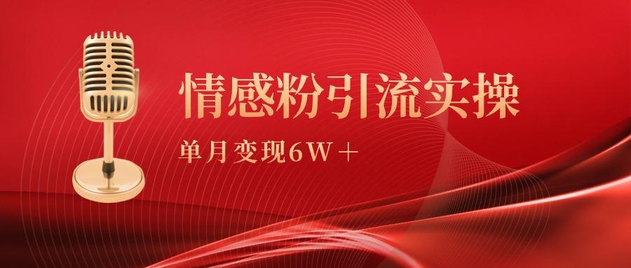 (9473期)单月变现6w+，情感粉引流变现实操课-Ai创业网