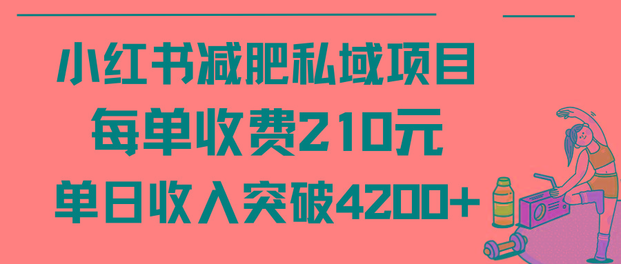 (9466期)小红书减肥私域项目每单收费210元单日成交20单，最高日入4200+-Ai创业网