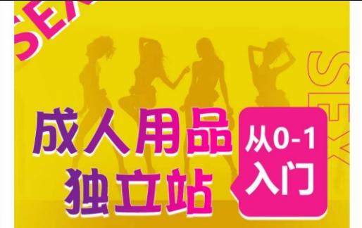 成人用品独立站从0-1入门，成品独立站运营全流程教学，七大好卖成品独立站推荐-Ai创业网