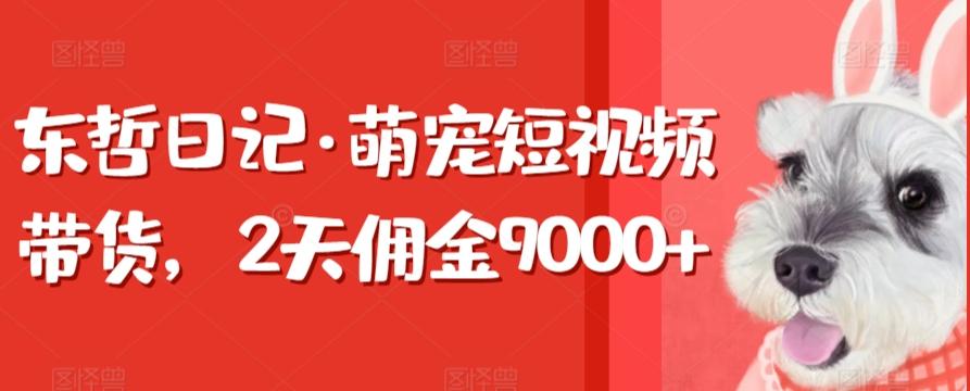 东哲日记·萌宠短视频带货，2天佣金9000+-Ai创业网