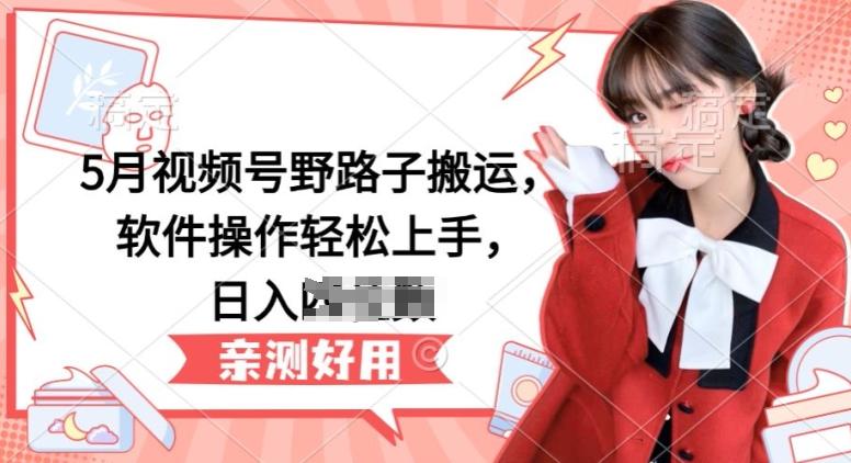 5月视频号野路子搬运，软件操作轻松上手，日入三位数【揭秘】-Ai创业网