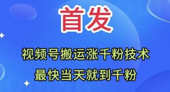 全网首发：视频号无脑搬运涨千粉技术，最快当天到千粉【揭秘】-Ai创业网