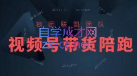 狼团联盟·2024视频号带货-Ai创业网