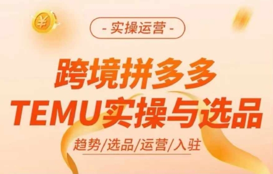 跨境拼多多TEMU实操与选品，多多temu跨境选品运营实操-Ai创业网