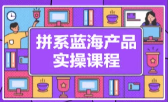 拼系冷门蓝海产品实操课程，从注册店铺到选品上架到流量维护环环相扣-Ai创业网