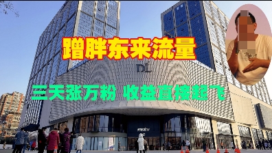 蹭胖东来流量，三天涨万粉，收益直接起飞-Ai创业网