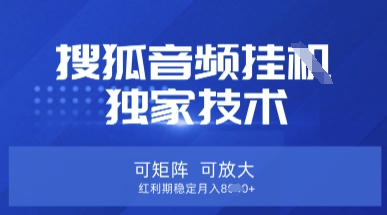 【搜狐音频挂G】独家技术，可矩阵可放大，红利期稳定月入8k【揭秘】-Ai创业网