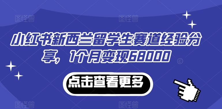 小红书新西兰留学生赛道经验分享，1个月变现68000【揭秘】-Ai创业网